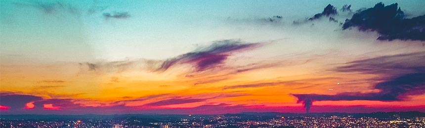 山东茶虫网_山东品茶